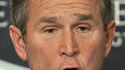 Bush