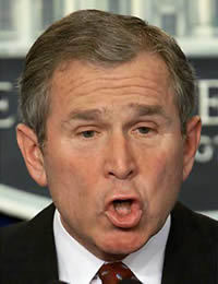 Bush