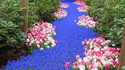 Une rivière de fleurs en Hollande