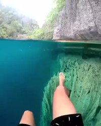 Le confinement ça a fait du bien à la nature