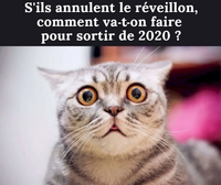 Question essentielle