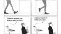 C'est curieux, chez les oiseaux marins...