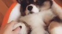 Mlem