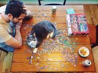 Normalement, ce chat devrait mourir dans les secondes qui suivent...