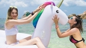 Bouée licorne