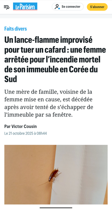 Où une sœur de Régis ?

https://www.leparisien.fr/faits-divers/un-lance-flamme-improvise-pour-tuer-un-cafard-une-femme-arretee-pour-lincendie-mortel-de-son-immeuble-en-coree-du-sud-21-10-2025-G7ATQ3GOBNDYPJL3J6NROOKFD4.php

