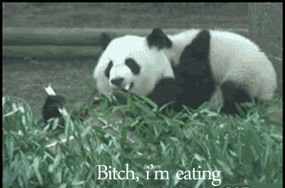Une histoire de panda.