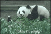 Laisse moi bouffer
