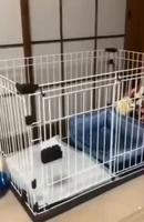 Un bon investissement 