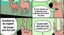 la loi du plus fort...