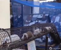 Tube de cochons