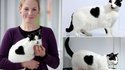 Chat d'amour