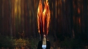 Flamboyante chevelure