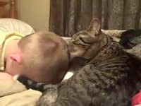 Chat et bébé