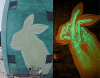 Qui lapin-compris ? 