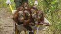 Phil_good et ses potes