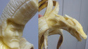Sculpture sur banane