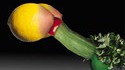 Légume porno