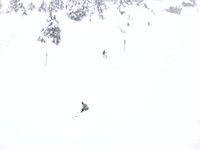 Nils fait du ski