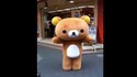 Un nounours qui danse