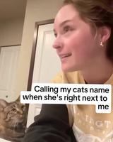 Appeller son chat alors qu’il est juste à côté 