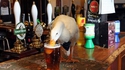 Que fait un canard au bar ?
