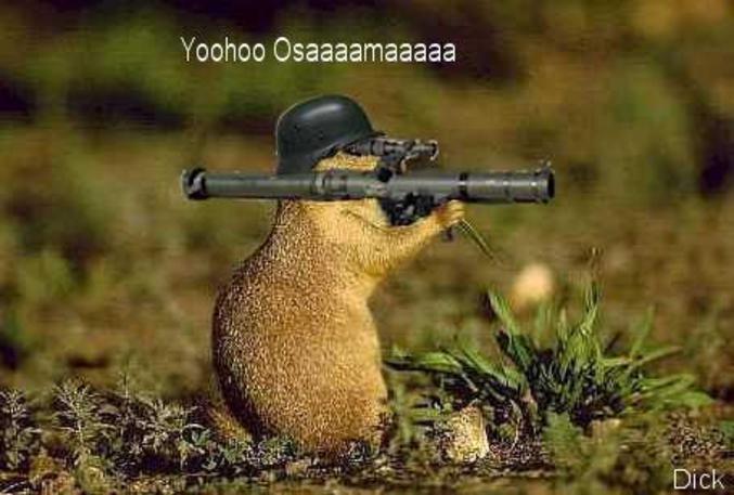 Un hamster bien armé.