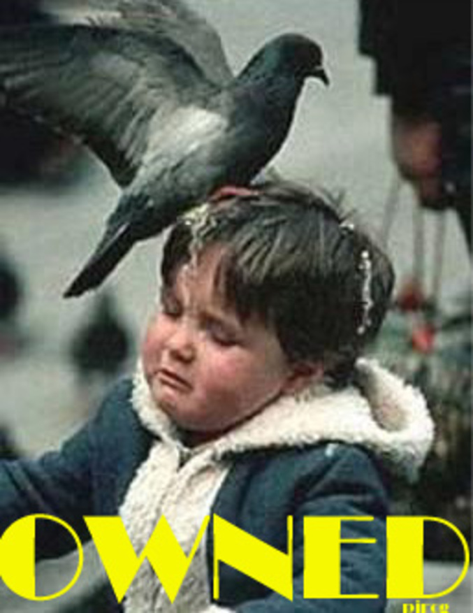Un pigeon montre son infection à un enfant.