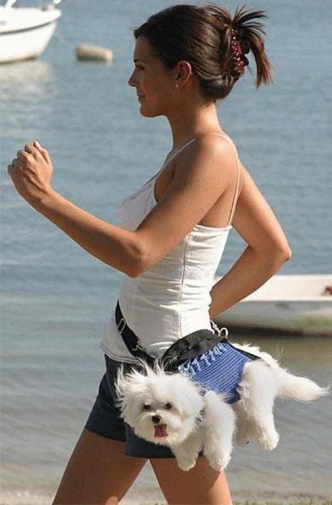 Une ceinture qui permet de porter son chien très simplement.