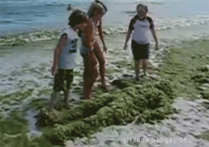 Pedobear à la plage