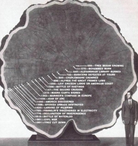La vie d'un arbre.