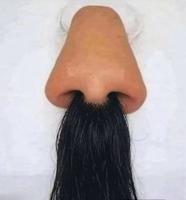 Kéçako ? Non, ce ne sont pas les poils issus d'un nez.