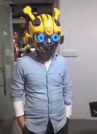 Bumblebee IRL