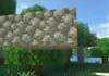 Pendant ce temps là, sur Minecraft
