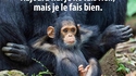 Aujourd'hui je ne fais rien.