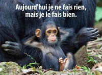 Aujourd'hui je ne fais rien.