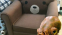 Un fauteuil ? 
