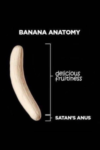Anatomie d'une banane