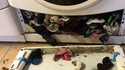 J'ai retrouvé ma chaussette