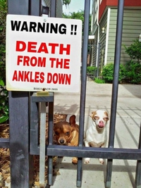Attention aux chevilles