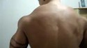Musclor