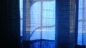 L'origine du logo windows