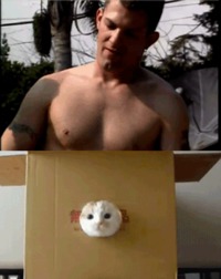 Combinaison de .gif