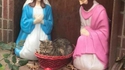 Le ravi de la crèche