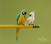 perroquets miniatures 
