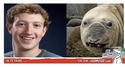 Troublante ressemblance !