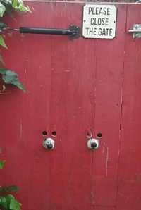 Double-check
