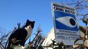 Comité de surveillance du voisinage