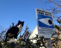 Comité de surveillance du voisinage