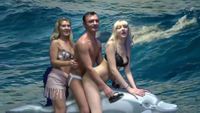 Un clip WTF : Russes + dauphins + ???